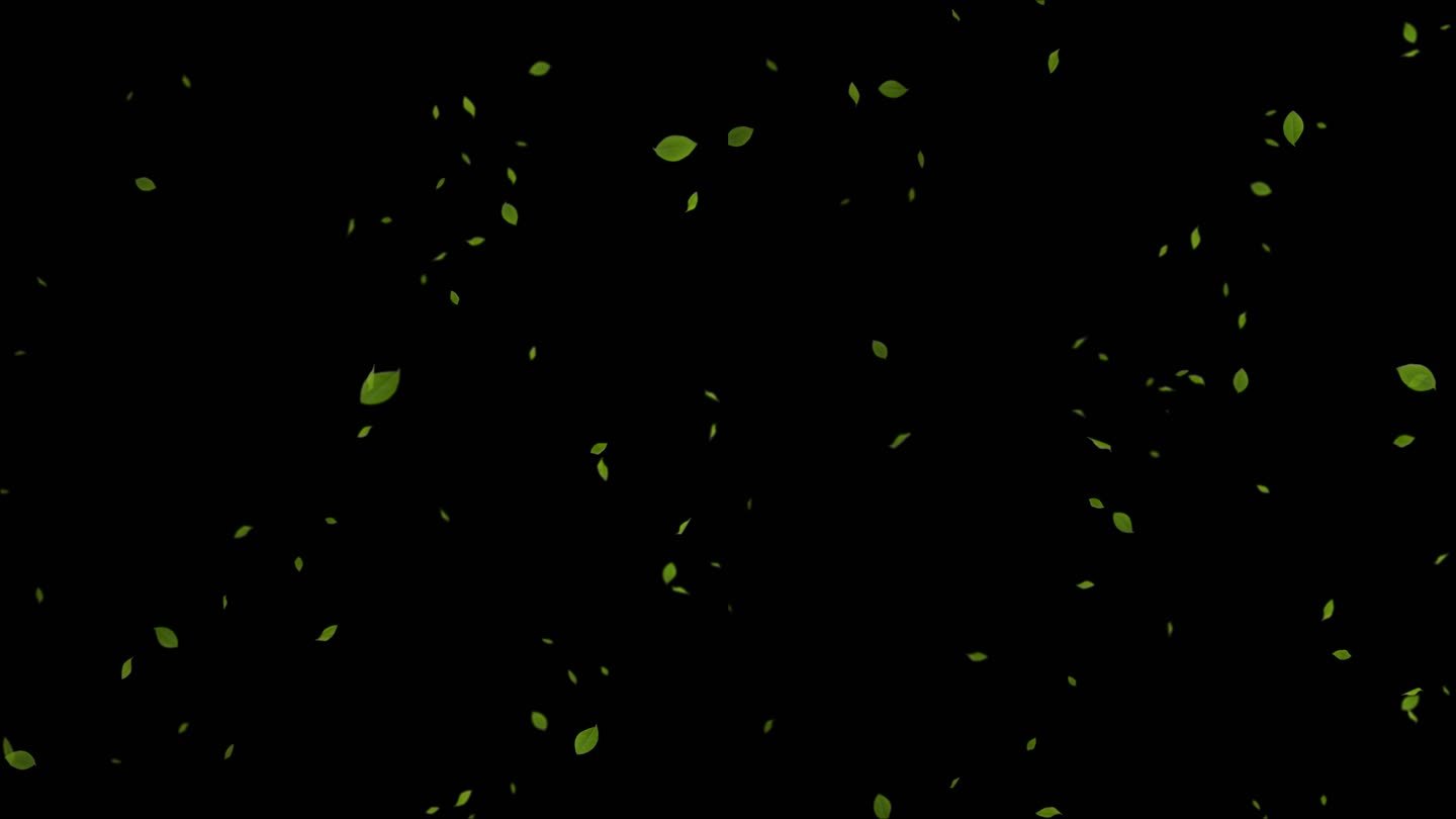 【原创】4K透明通道树叶落叶飘落视频素材