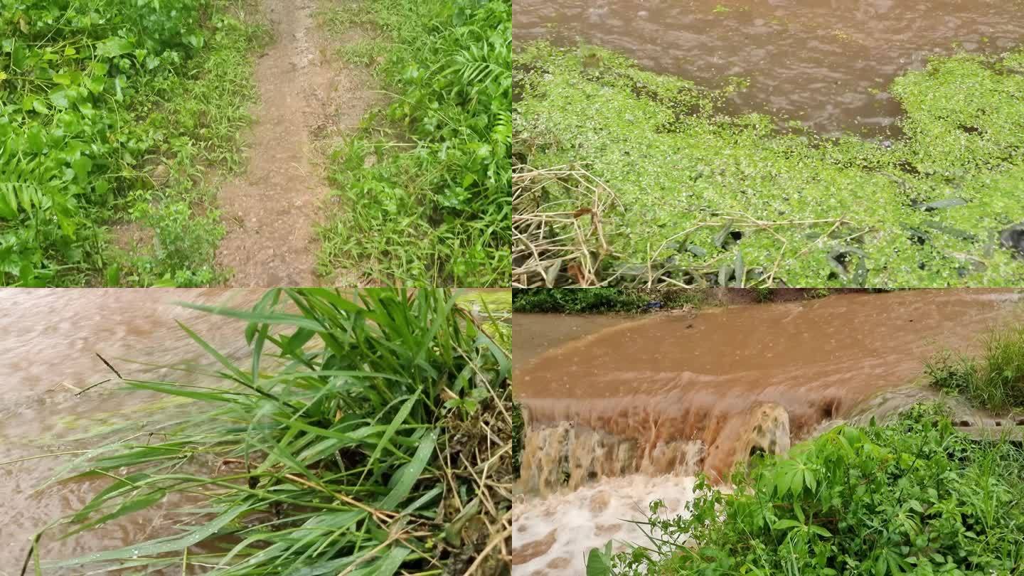 强降雨暴雨后洪水淹没稻田农村暴雨农田水灾