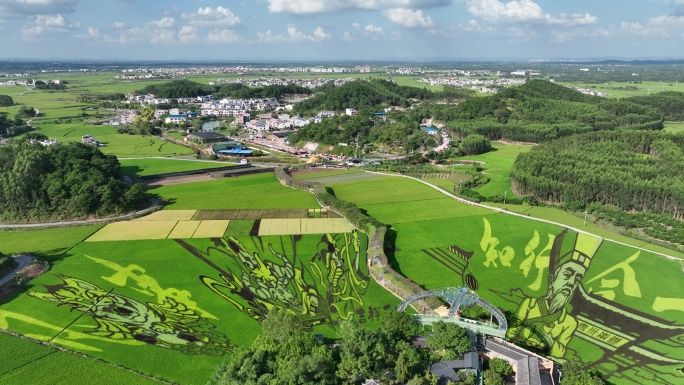 南宁宾阳古辣稻田艺术景区11