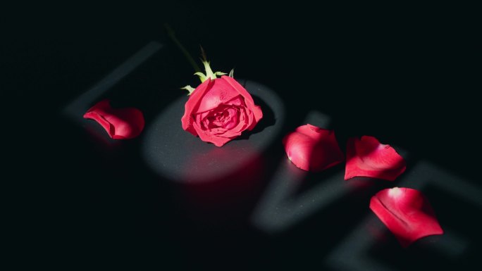 一枝玫瑰花love
