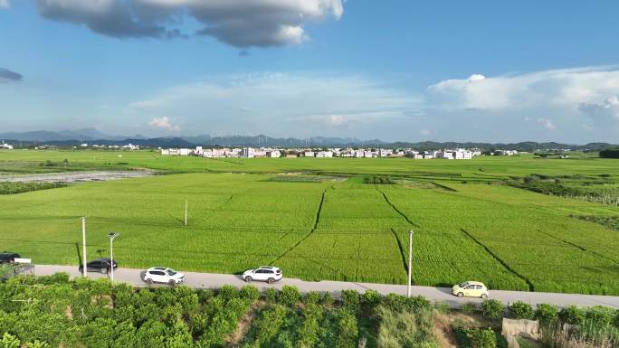 南宁宾阳古辣稻田风车蓝天白云美景5