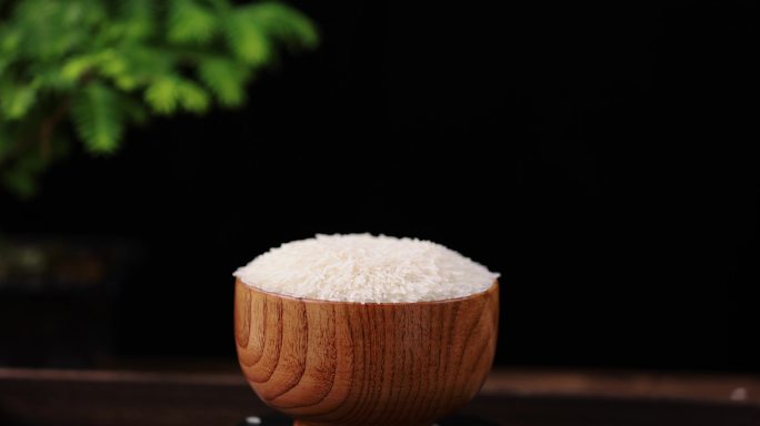 猫牙米 泰国香米下降4k升格慢镜