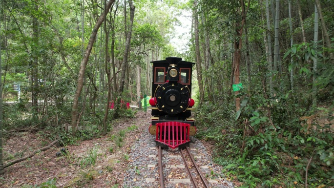 湖南郴州九龙江国家森林公园