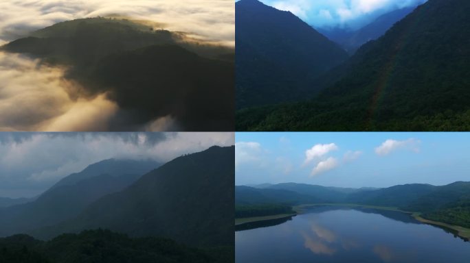 河流大自然治愈风景山川河流云海晨雾森林