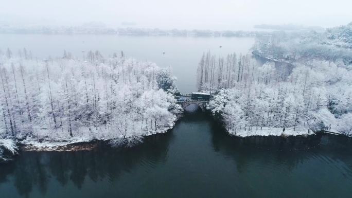 杭州西湖杨公堤雪景