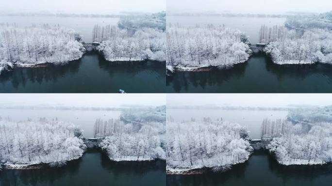 杭州西湖杨公堤雪景