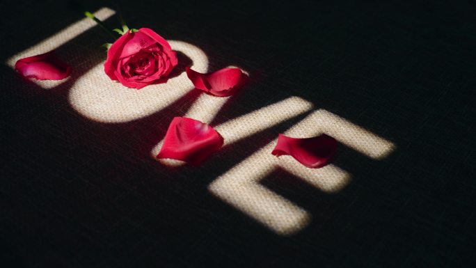一枝玫瑰花love2