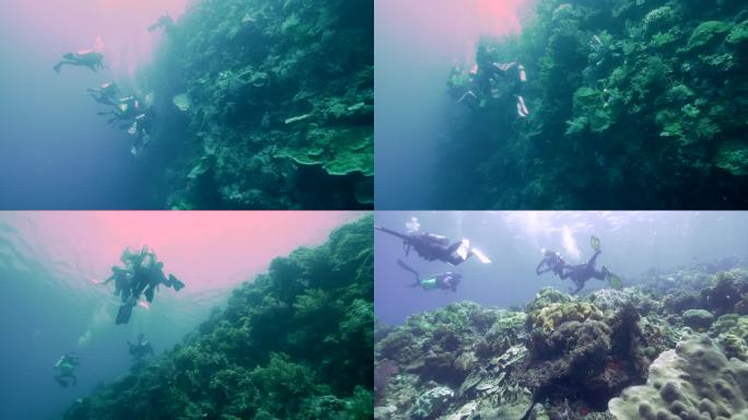 水下摄影潜水员4k