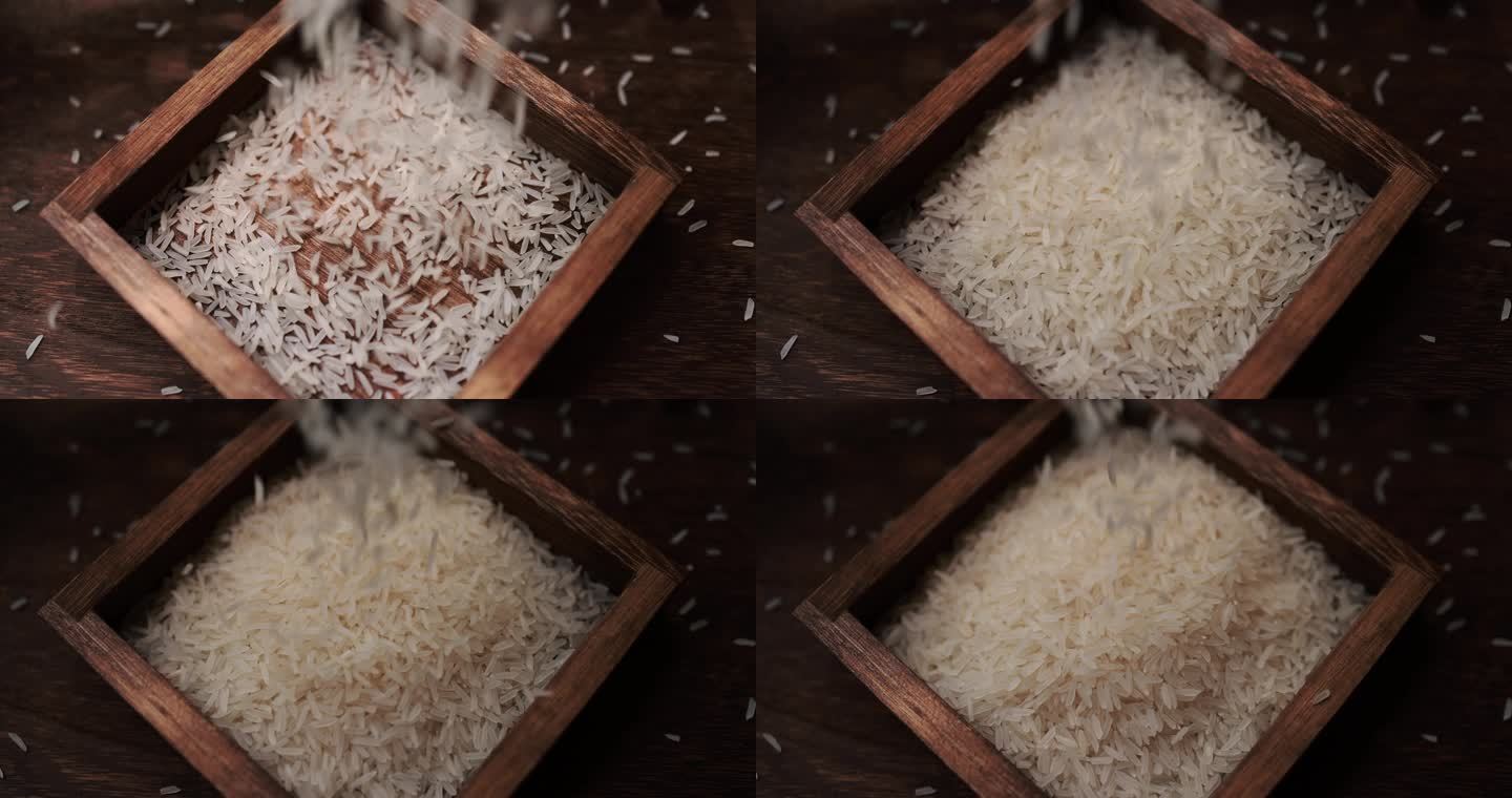 猫牙米 泰国香米下降4k升格慢镜