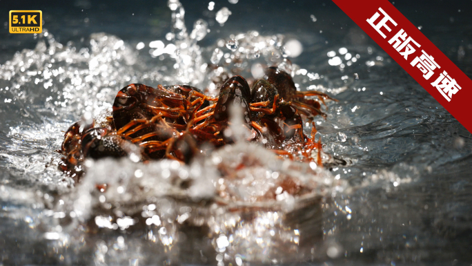 5K-小龙虾高速砸水，小龙虾入水创意镜头