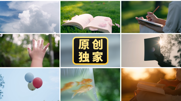 夏日阳光青春校园读书写字唯美小清新空镜