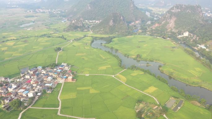 秋天阳光下航拍桂林山边的河流和金色稻田