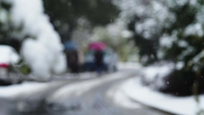 新年过年下雪行人打伞汽车积雪