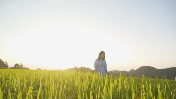 美女田间慢步文艺青年小清新自由自在唯美