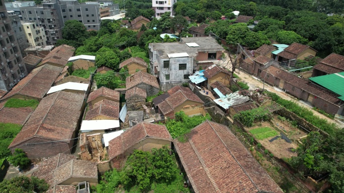 【正版素材】东莞大朗犀牛陂元岗路老建筑