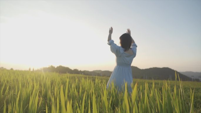 女生田间挥手背影眺望远方向往自由追逐梦想