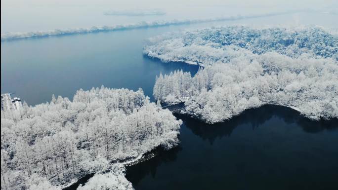 杭州杨公堤雪景