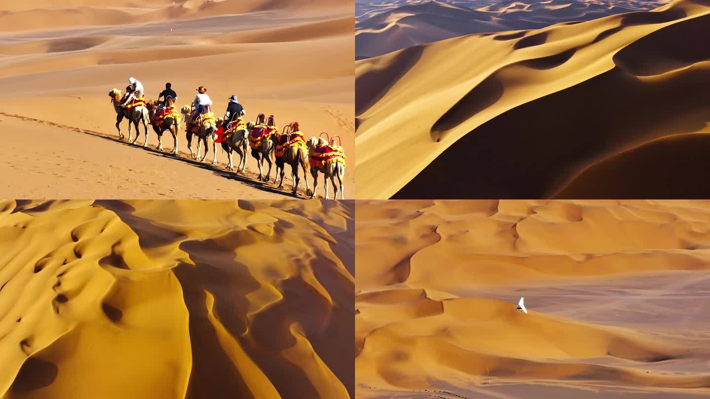 库木塔格沙漠金色沙漠沙丘航拍新疆骆驼越野