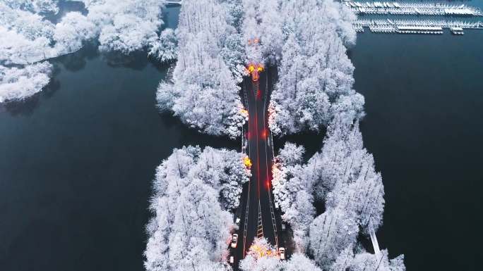 杭州西湖杨公堤雪景