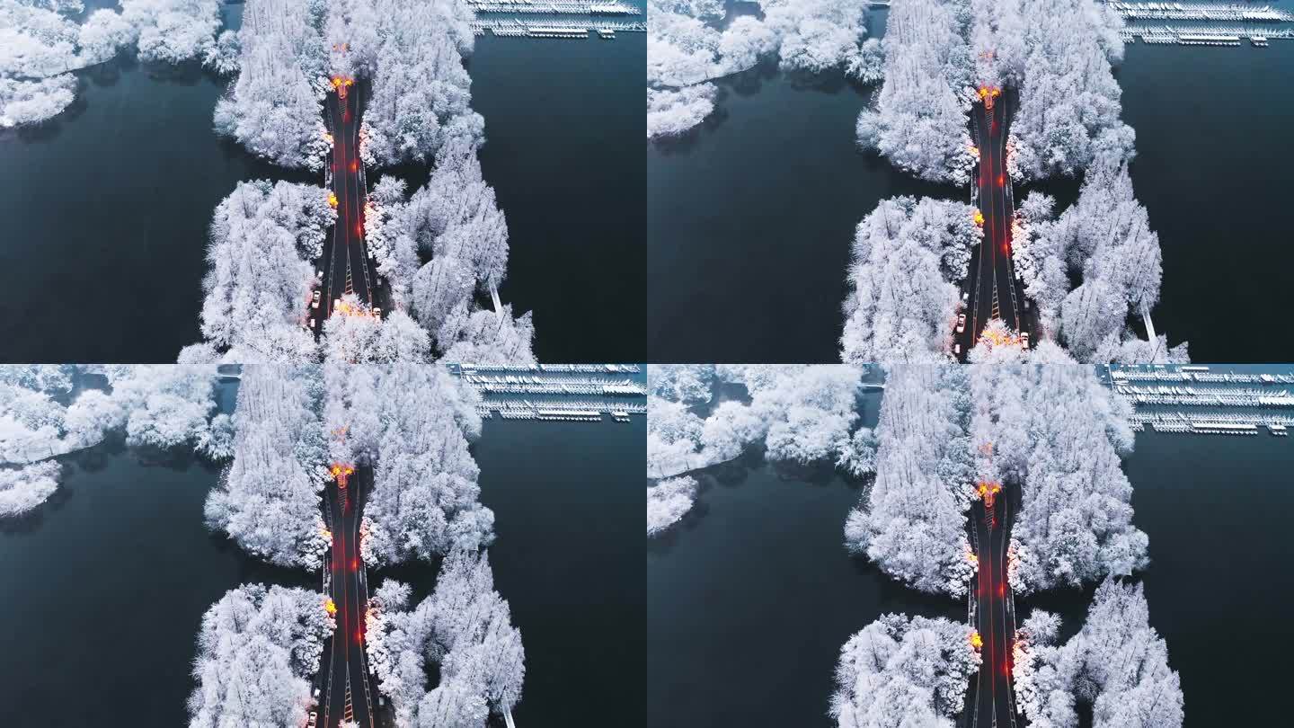 杭州西湖杨公堤雪景