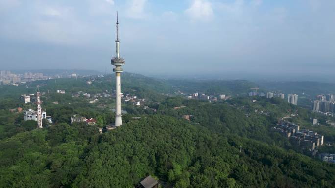 12组 自贡 万达广场 天宫寺 汇川路