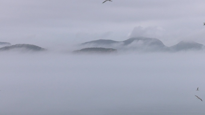 山东威海海驴岛