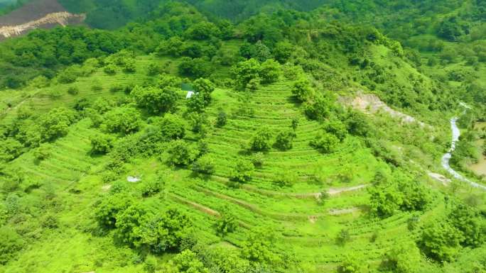 远山 自然风光