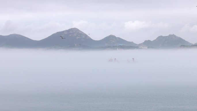 山东威海海驴岛