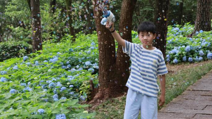 可爱的男孩在花海赏花 杭州临平公园无尽夏