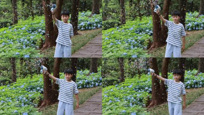 可爱的男孩在花海赏花 杭州临平公园无尽夏