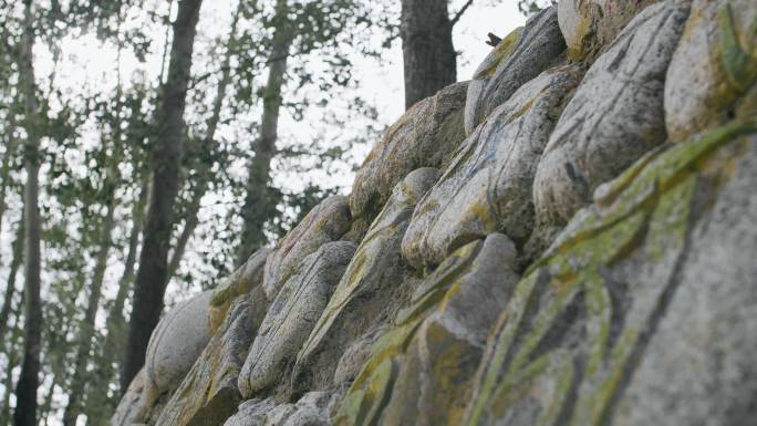 石头雕刻路 文化路 历史路 土路 树林