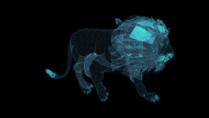 雄狮子 走路循环动画非洲狮子野生动物雄性