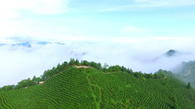 避暑胜地 长寿之乡 乐业风景-1