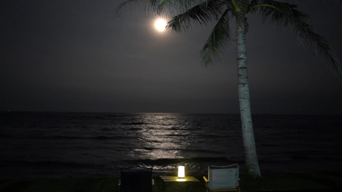 海边月光椰子树