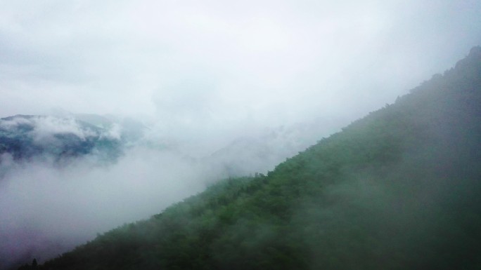 山间烟雾缭绕 雾 深山 意境 舒适感