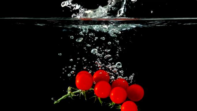 小西红柿入水棚拍