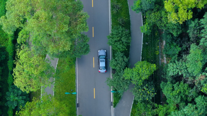 汽车行驶在林间小道航拍 4K