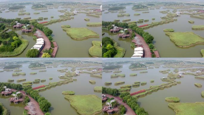 山东寿光巨淀湖风光