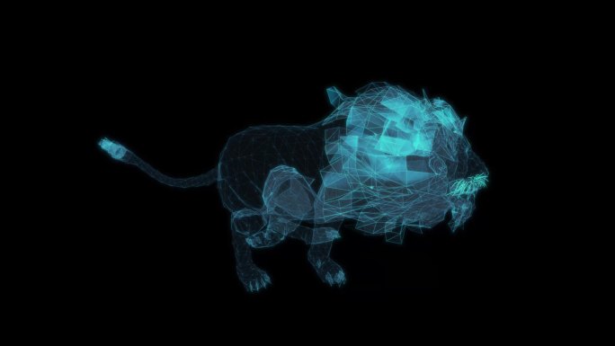 雄狮子 奔跑循环动画非洲狮子雄狮雄性公狮