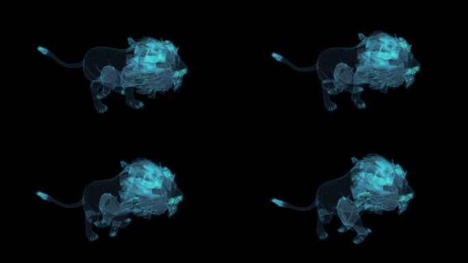 雄狮子 奔跑循环动画非洲狮子雄狮雄性公狮