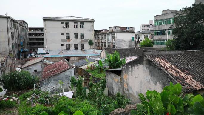 深圳市龙岗区石龙坑老房子城市更新城市旧改