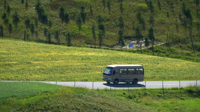 卓尔山下的旅游大巴 乡间小路 油菜花田