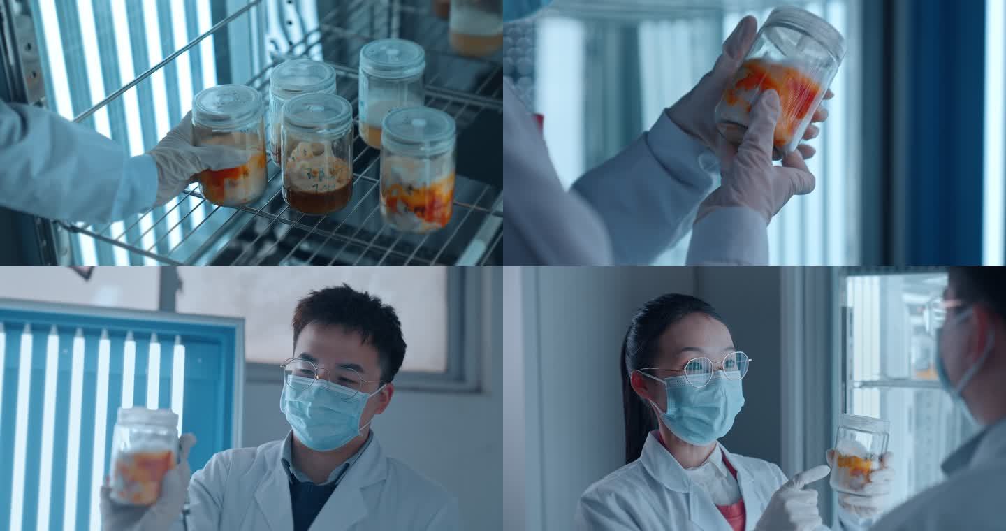微生物培养实验 国家实验室