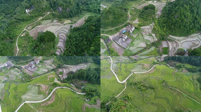 福建龙岩赖源乡 梯田 青山 古村落 乡村