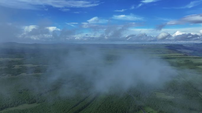 森林中的一条路 云层穿梭 生态自然