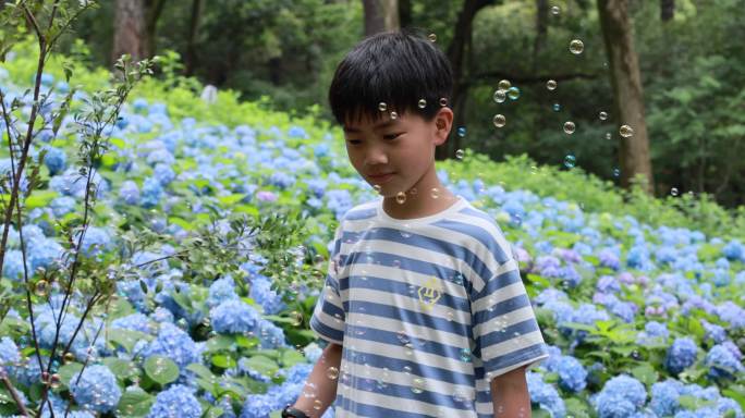 可爱的男孩在花海赏花 唯美升格慢镜