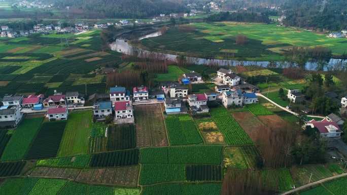 美丽四川农村航拍风景村庄田地生机盎然