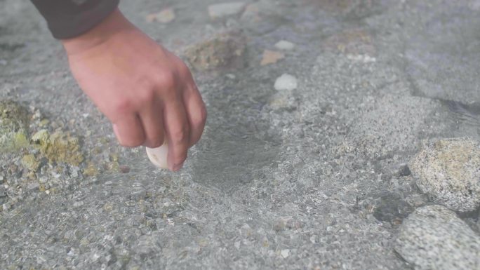 泻湖 食物和饮料 温泉 包装 动物鸡蛋