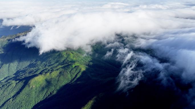 4K 航拍雷公山原始森林日出云海风光6