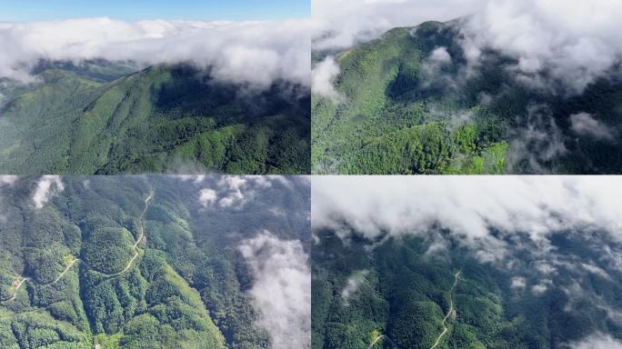 4K 航拍雷公山原始森林日出云海风光9